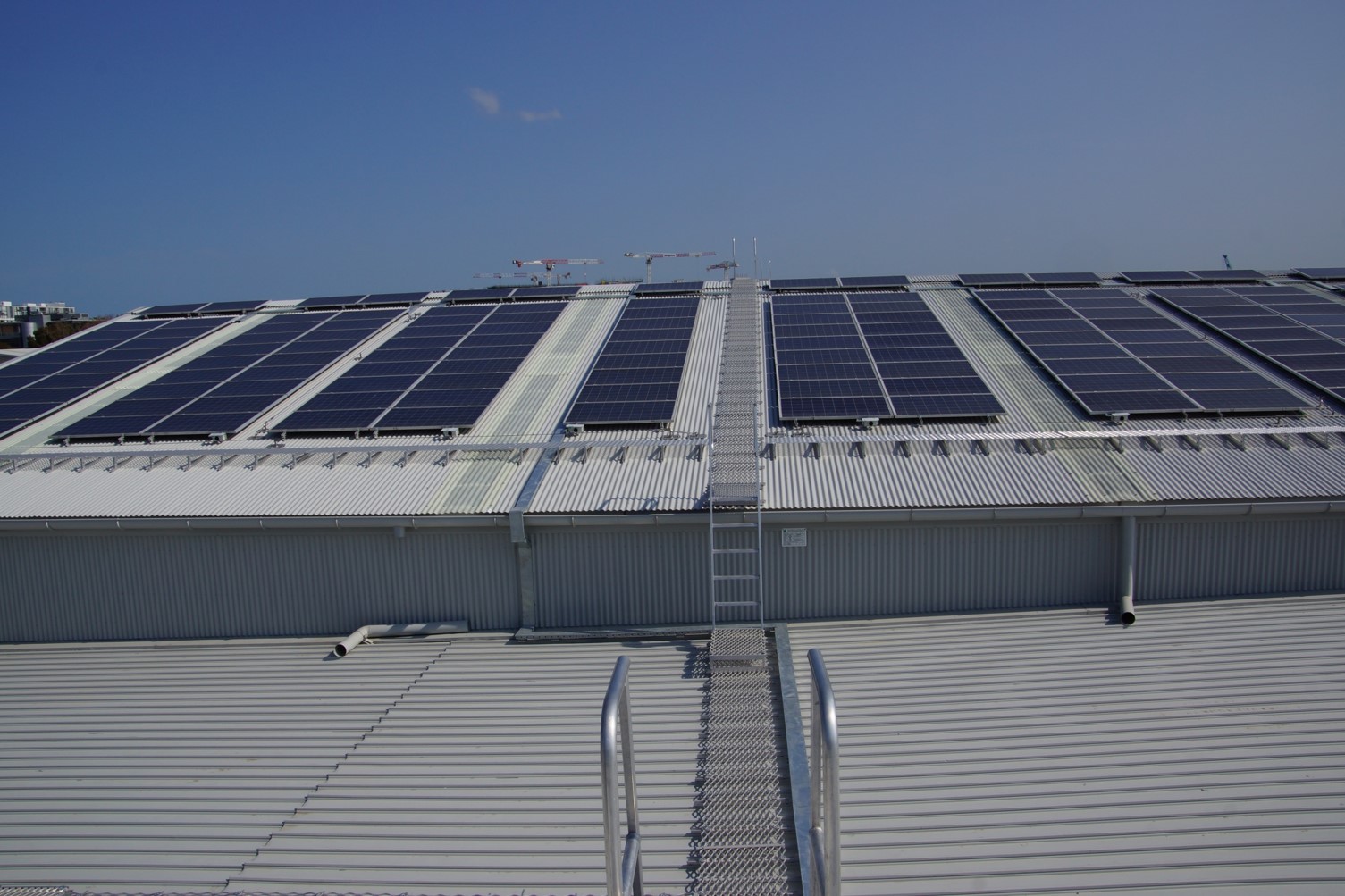 Rooftop solar panels and walkway illustrating compliance requirements for solar installations.